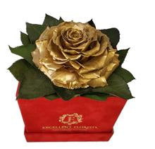 This beautiful arrangement of Excellent Flowers ETERNITY preserved roses is arranged for beauty and durability. They create a long-lasting impression which is sure to make someone a happy time and time again.