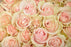 Pink Mondial Rose | Fresh Flower with Stem