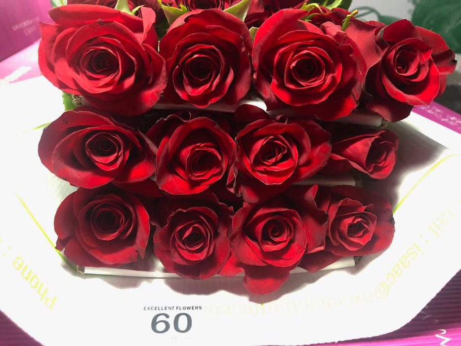 Freedom Raspberry  Ecuadorian Eternal Rose Flower Ceremony - Shop  flowerflowertw Dried Flowers & Bouquets - Pinkoi