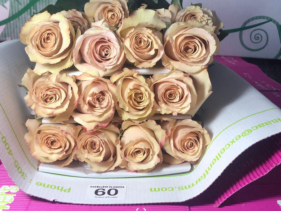 Ecuadorian roses