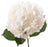 Hydrangea Premium White  | From $ 2,60 / Stem  | FREE SHIPPING