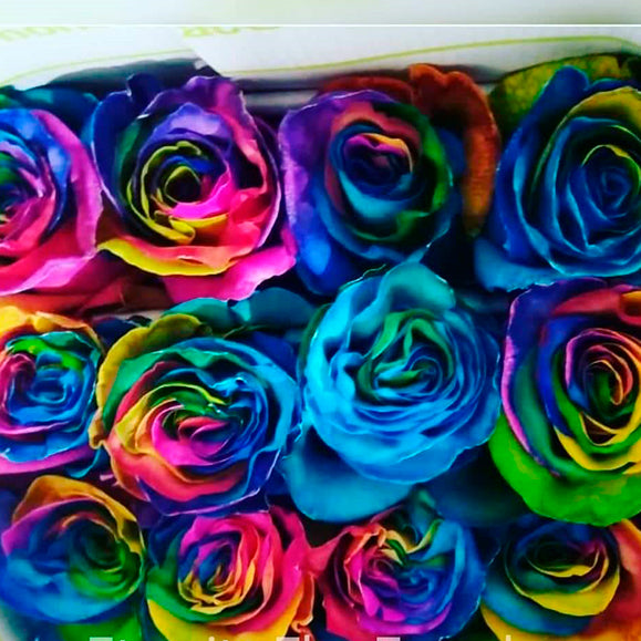 Rainbow Tinted Rose I From $ 2.95 / Stem  FREE SHIPPINGI Ecuadorian Rose